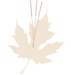 green leaf