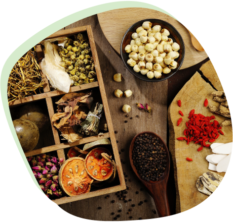 What is herbal medicine?